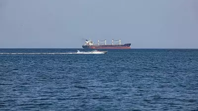 Iran Pledges Cooperation for Maritime Safety in Gulf Waters, IMO Confirms