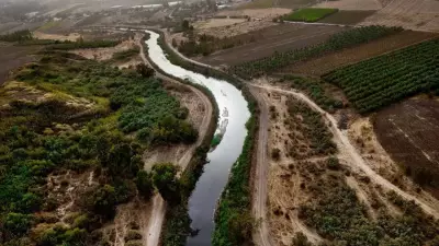Jordan River's Fish Crisis: A Symbol of Global Environmental Degradation