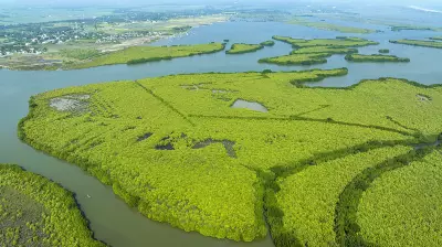Justice Oka Demands Independent Probe into Mumbai's 45,000 Mangrove Loss