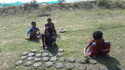 LPG Crisis Forces Rural Odisha Back to Cow-Dung Cakes for Cooking