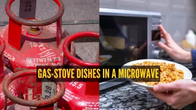 LPG Shortage Crisis: 7 Gas-Stove Dishes You Can Cook in a Microwave