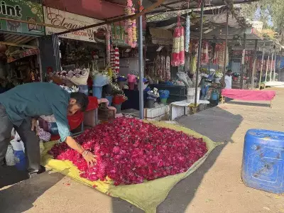 Ludhiana Embraces Eco-Friendly Flower Holi, But Waste Management Remains a Challenge