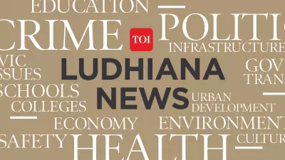 Ludhiana Records Chilly Night at 11.2°C, 2.5°C Below Normal Temperature