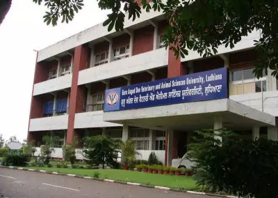 Ludhiana Vet University Students Threaten Protest Over Delayed Stipend Hike