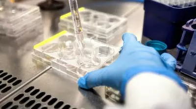 Maharashtra Police Seals Nashik IVF Center in Illegal Egg Donation Racket Bust