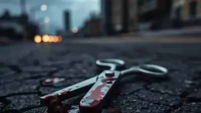 Man Allegedly Attacks Mother-in-Law, Severs Her Nose with Scissors in Rajasthan