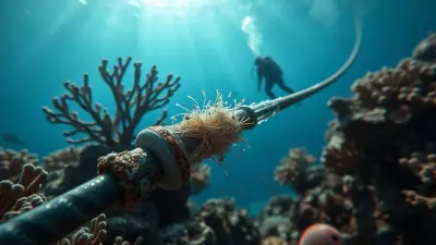 Meta's 2Africa Cable Project Paused in Persian Gulf Amid US-Iran-Israel Conflict