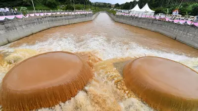 MoEF Panel Mandates Penalty Payment for Yettinahole Project Forest Clearance