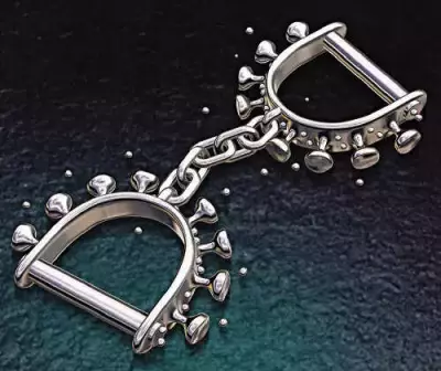 Mopa Airport Police Arrest Three, Seize Vehicle in Illegal Cattle Transport Case