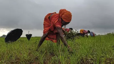 MSSRF Launches Women Farmer Empowerment Initiative in Maharashtra's Gadchiroli