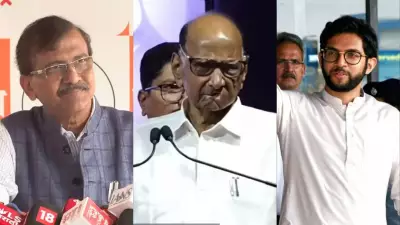 MVA Nominates Sharad Pawar for Rajya Sabha, Exposing Shiv Sena (UBT) Rifts