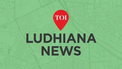 NGT Orders Ludhiana DC to Submit Buddha Dariya Maps Amid Environmental Dispute