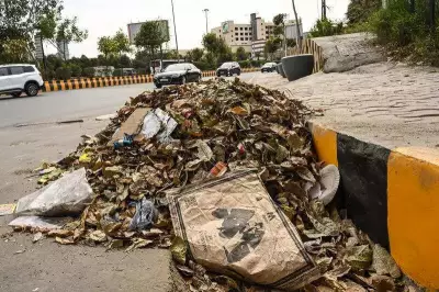 Noida Sanitation Workers Strike Over Forced Civil Duties, Demand Medical Insurance