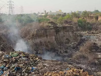 Noida's Horticulture Waste Crisis: Fires and Health Hazards Plague Residents