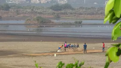 Over 23,000 Maharashtra Wetlands Await Legal Protection Amid Bureaucratic Delays