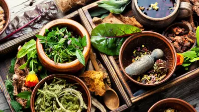 Patanjali's Herbal Research Division Creates World Herbal Encyclopedia with 50,000 Plants