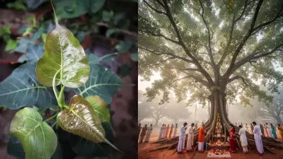 Peepal Tree: Sacred Symbol of Hindu Culture and Vedic Traditions Explained