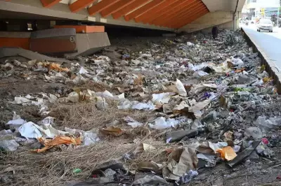 Pune Village Grapples with Garbage Crisis, Health Fears Mount Ahead of Festivals