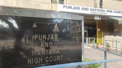 Punjab Admits Coordination Gap to HC, Reports 450 Illegal Structures Demolished in Mohali