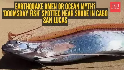 Rare 'Doomsday Fish' Sighting Stuns Beachgoers in Cabo San Lucas