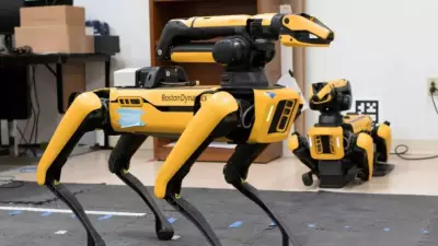 Robots Learn to Find Objects in Clutter by Mimicking Dogs' Understanding of Human Pointing