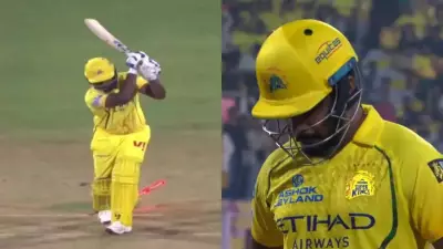 Sanju Samson's CSK Decut Cut Short by Nandre Burger Against Former Team RR