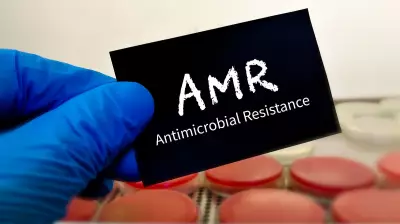 Scientists Discover Common Antibiotic Resistance Genes in Bacteria Across Major Indian Cities