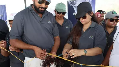 Seaweed Farming in Maharashtra's Raigad Transforms Coastal Livelihoods