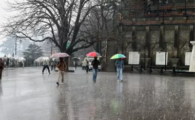 Shimla Hit by Rain and Hail, Manali's High Altitudes See Fresh Snowfall
