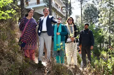 Solan Municipal Corporation Mandates 5 Saplings for Every Tree Felled
