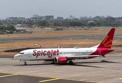 SpiceJet Flight Strands 150+ Passengers for Hours in Delhi Due to Technical Glitch