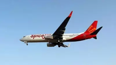 SpiceJet Launches 13 Special Flights from UAE to India on Thursday
