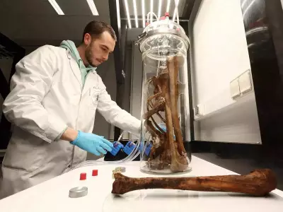 Stressful Relationships May Accelerate Biological Aging, New Study Reveals