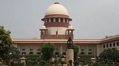 Supreme Court Urges Holistic Approach to Green Cover Beyond Delhi