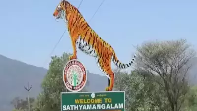 Tamil Nadu Govt Uncovers 42 Illegal Resorts in Sathyamangalam Tiger Reserve