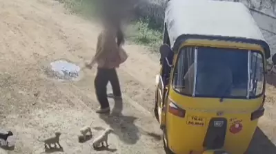 Tamil Nadu Woman Kills Puppies by Smashing Them on Wall After Neighbor Dispute
