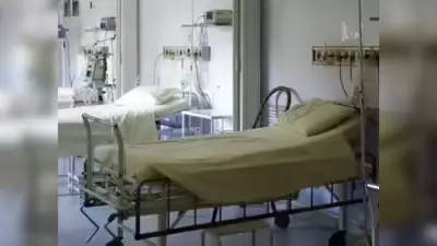 Telangana Plans Hub-and-Spoke Hospital Network to Ease Hyderabad Burden