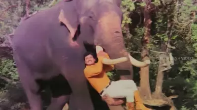 The Rajkumar Phenomenon and the Rise of Parallel Cinema in Karnataka