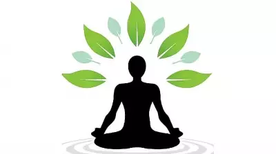 The Transformative Power of Conscious Thinking in Human Evolution