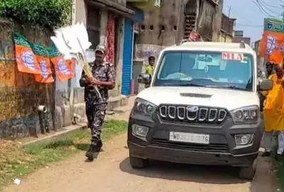 TMC to File Complaint Against BJP MLA After Video Shows CAPF Jawan Carrying Lotus Cutouts