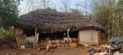 Toddler Killed as Elephant Herd Demolishes House in Balasore Village