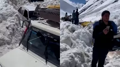 Tragic Avalanche at Zoji La Claims 7 Lives, Buries Vehicles on Srinagar-Leh Highway