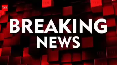 Tragic Delhi Chemical Incident Kills Toddler, Sister Hospitalized