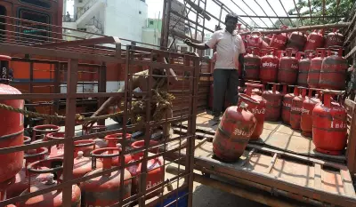 West Asia Conflict: Centre Directs PNG Users to Surrender LPG Cylinders
