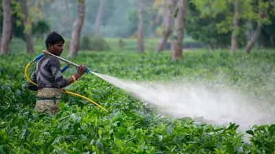 West Asia Conflict to Increase Pesticide Costs by 20-25%, Industry Warns