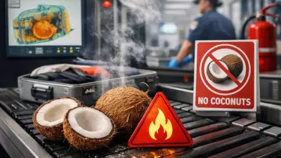 Why Coconuts Are Banned on Flights: Fire, Pressure & Security Risks Explained