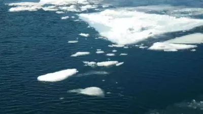 Why Ice Floats on Water: The Science Behind This Life-Sustaining Phenomenon
