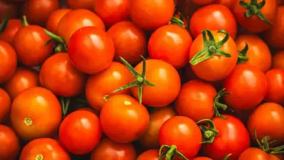 Why Plain Water Fails to Clean Tomatoes: A Safer Saltwater Method