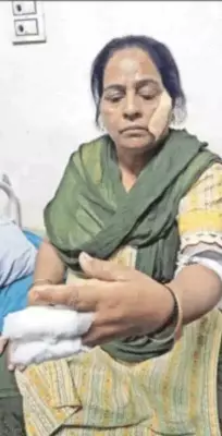 Widow's Grit: Mohali Woman Fights Off Armed Intruder, Stabbed Multiple Times