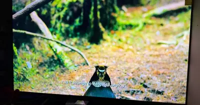 Xiaomi QLED X Pro 75 Review: A Top-Class 4K Smart TV for IPL Viewing